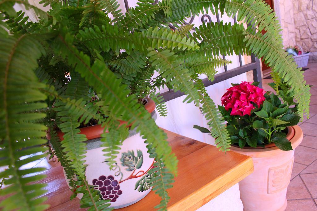 Villa Rosa Brodarica  Esterno foto