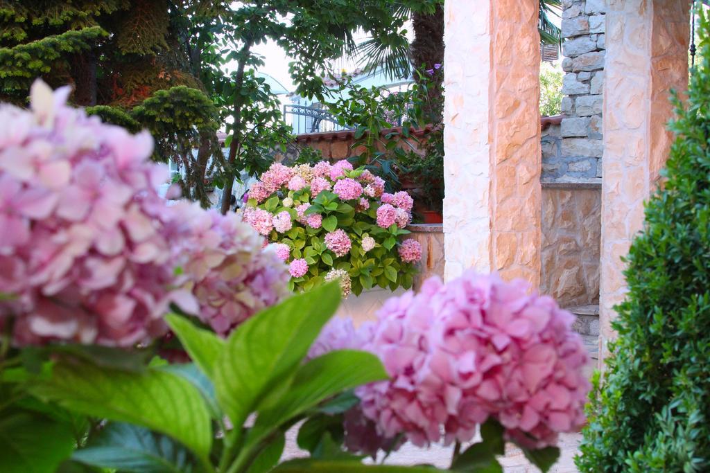 Villa Rosa Brodarica  Esterno foto